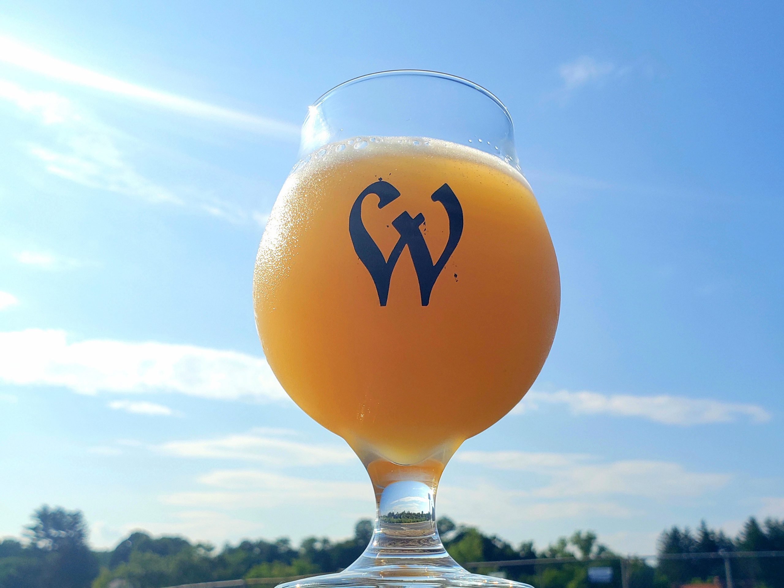 Witchdoctor Lager Beer in Connecticut view